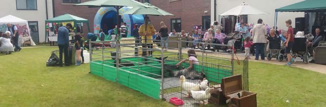 Fishers Mobile Farm - Finney House Care Home - August 2017